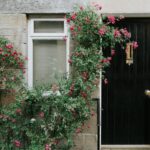 Seven Flowers for an Eye-Catching Entranceway 21 flowers