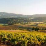wine tours napa valley 1