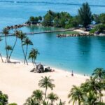 pexels ravish maqsood 11527352