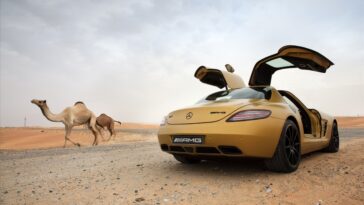 1138398 animals car vehicle desert sports car camels Mercedes Benz SLS AMG wheel land vehicle automotive design automobile make