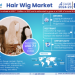 Global Hair Wig Market Research Report Forecast 2024 20291