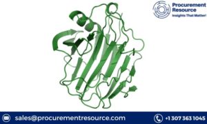 Unveiling Cellulase Production Cost Analysis: Insights for Industry Pl 1 Cellulase Production Cost