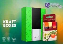 Kraft Boxes 2024