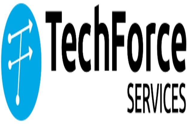 Accelerating Healthcare Innovation with Salesforce Cloud Solutions 1 TechForce Service mainlogo 8