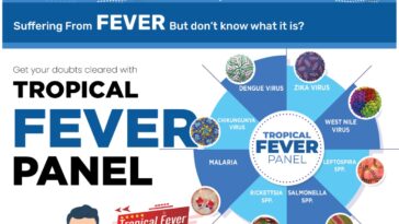 WhatsApp Image 2024 07 22 at 09.44.07