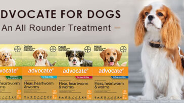 Advocate Review An All Rounder Treatment for Dogs