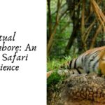 Virtual Ranthambore An Online Safari Experience