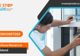 Window Tinting Services in Auckland