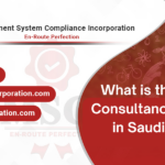 In which sector ISO Consultants work in