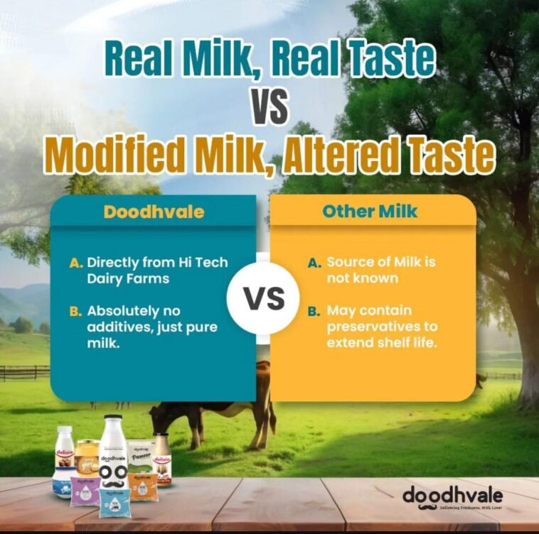 Cow Milk or Buffalo Milk Which is Better? 1 WhatsApp Image 2024 08 12 at 12.02.25 PM