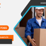 Furniture Movers in Auckland 1