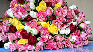 Unique Flowers for Birthdays A Guide to Memorable Floral Gifts