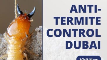 2. Anti Termite Control Dubai