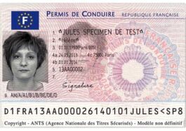 French drivers licenses
