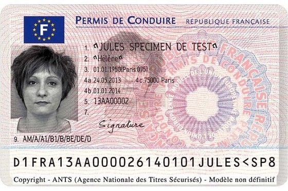 French drivers licenses