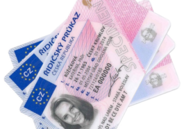 Cesky ridicsky prukaz