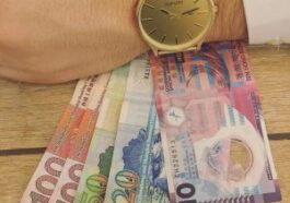 17439412 1598539940175734 6057495653779505152 n 1 300x300 1