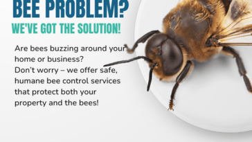365pestcontrol.com .au 2