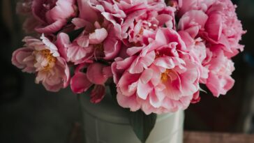 What to Write on Sympathy Flowers London