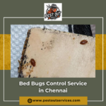 imgpsh fullsize anim 14