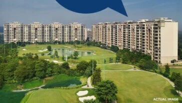 ambience caitriona dlf phanse 3 12