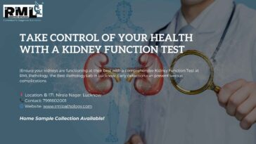Take Control of Your Health with a Kidney Function Test