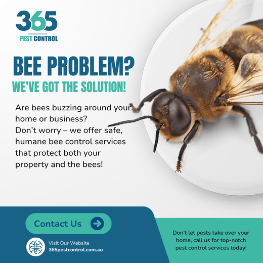 365pestcontrol.com .au 1