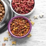 India Pet Food Market