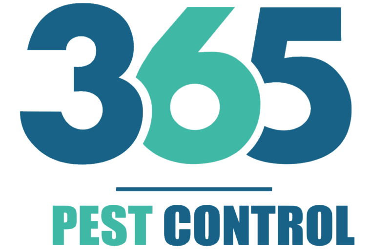 365pclogo 963x658 1 1