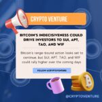 WhatsApp Image 2024 10 16 at 11.32.39 AM