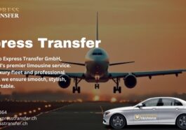 whatsapp image 2024 10 30 at 00.34.01 da3fb64d 720