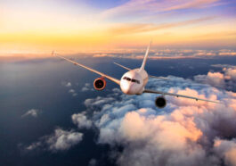 istockphoto 955952680 612x612 1 1