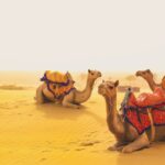 A One-Day Plan for Seeing Jaisalmer 20 one day jaisalmer local sightseeing tour package private cab header