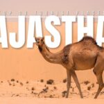 A Quick Guide to Rajasthan's Cities 20 hq720 2