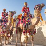 Desert Festival: Colors of Jaisalmer in Winter 21 Jaisalmer Desert Festival