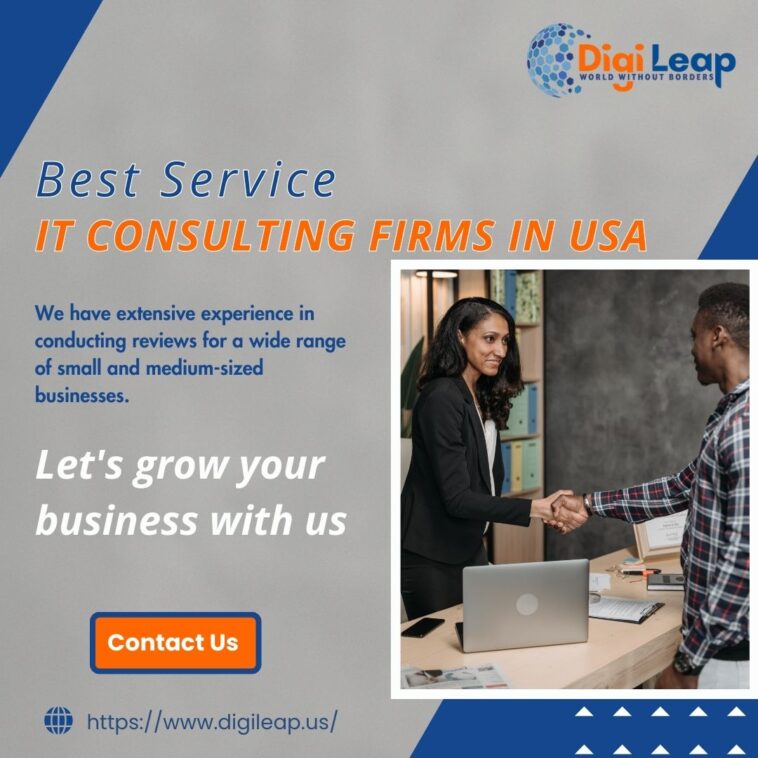 IT Consulting Firms in USA