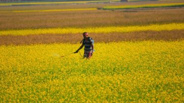 shad arefin sanchoy AbIiPjvu5z0 unsplash