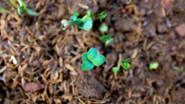 vi tran IKI8OsPGeAo unsplash 1