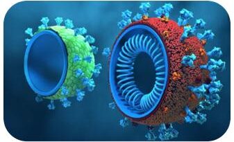 VLP Production Service 1