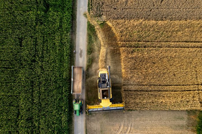 Broad-Spectrum Systemic Insecticides in Action: Success Stories From t 1 bernd dittrich aAAXPgwyMtc unsplash