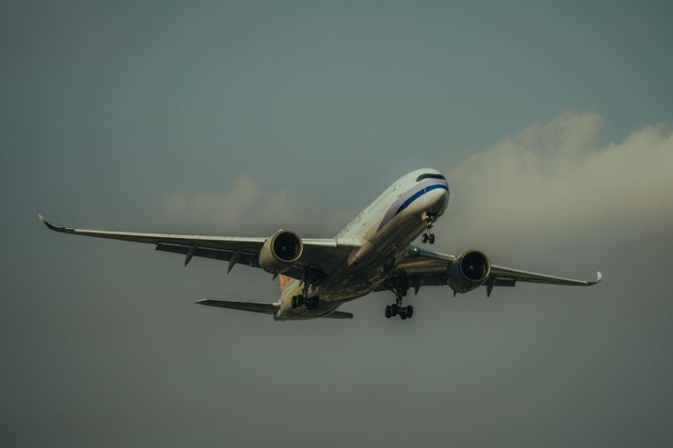 pexels valdemarvan 23508935