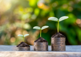 Loan Against Mutual Funds vs Redemption