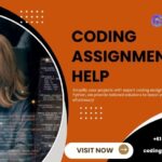 marketing agency 2024 12 09T174239.370