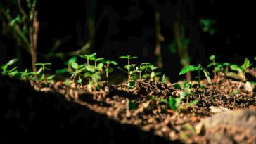 rain y q8vYjpFFZvI unsplash