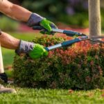 8 Benefits of Regular Landscape Maintenance 20 gardener trimming garden plants using scissors 1426 4770