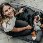 Dog Boarding Gurgaon The Perfect Home for Your Pet