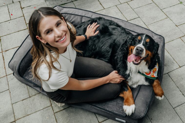 Why Dog Boarding in Delhi Might Be Right for You? 1 Dog Boarding Gurgaon The Perfect Home for Your Pet