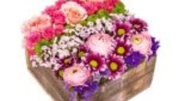 perfectly pave 150x150 1