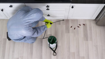 WhatsApp Image 2024 08 22 at 2.47.12 PM 2 1