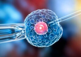 Regenerative Medicine and the Treatment of Autoimmune Diseases